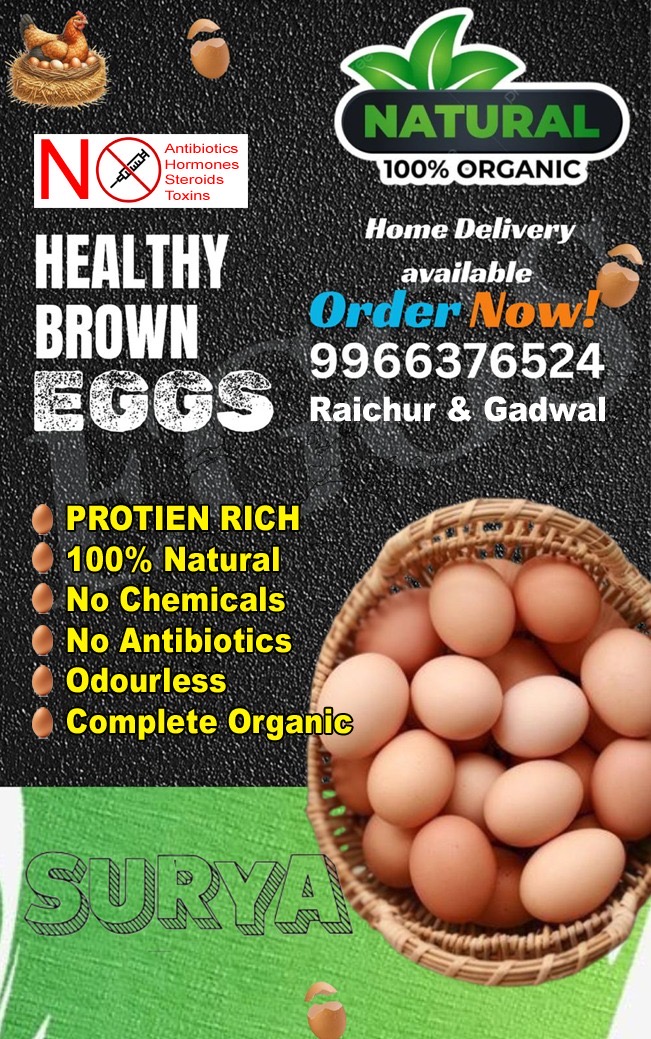 Highly Nutrient Enriched Pure Healthy Organic Poultry Chicken Eggs 19*2*2