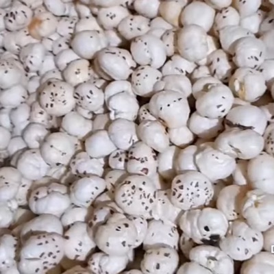 Fox Nuts - Color: White