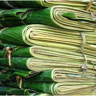 Banana Leaf