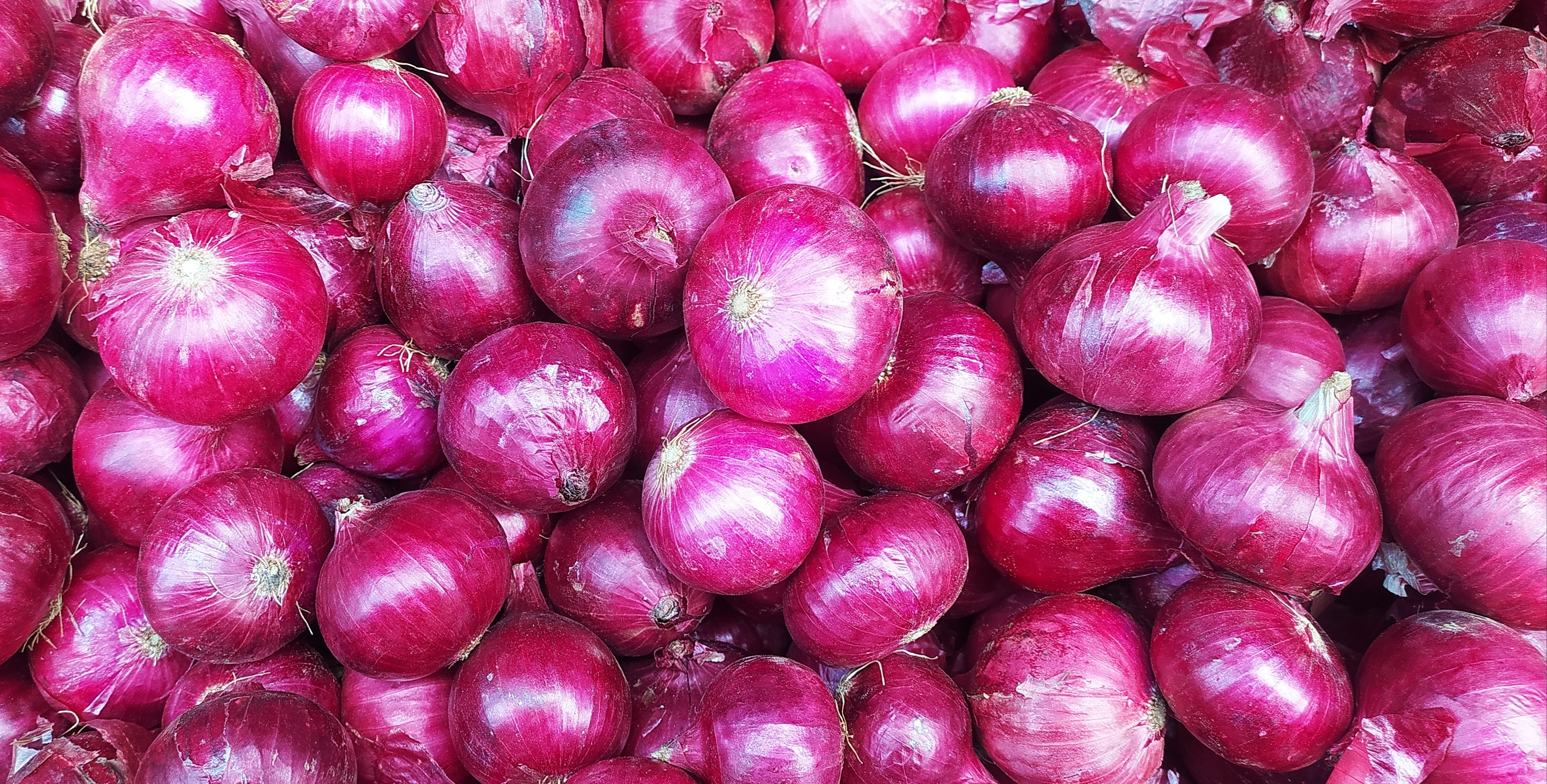 High Yield Red Onion