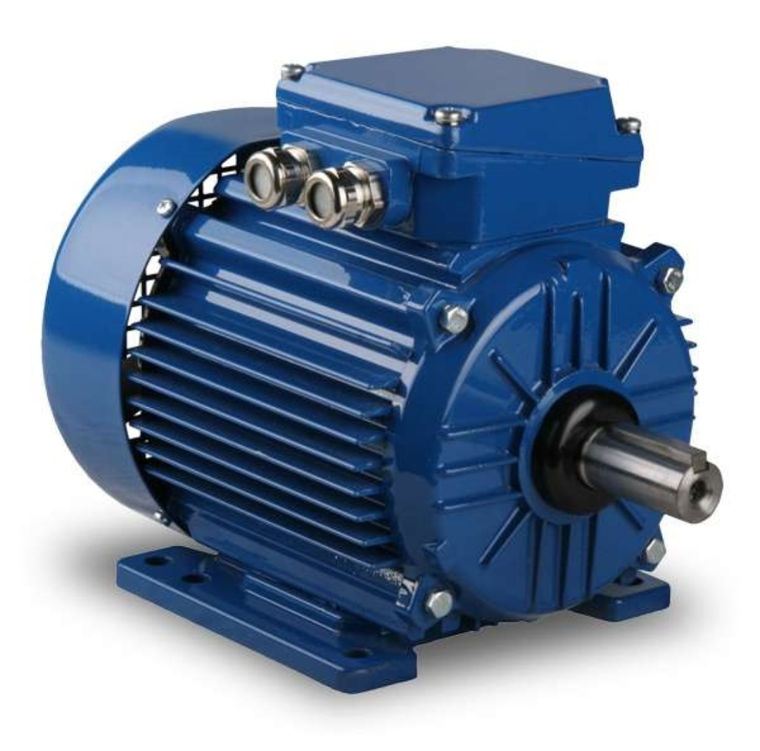 Alternating Current AC Motor