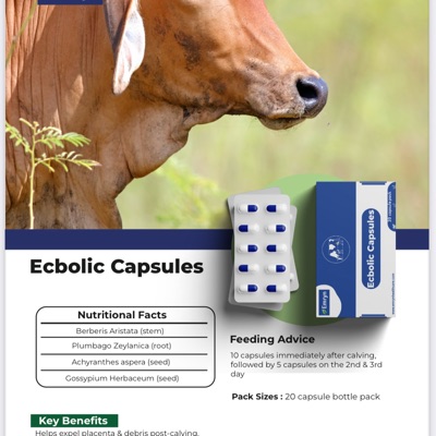 Cattle Ecbolic Capsules