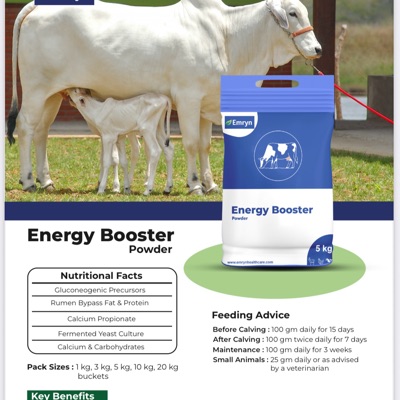 Energy Booster Nutrition Supplements Powder