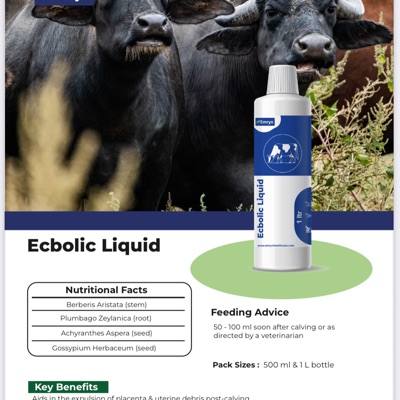 Herbal Uterine Tonic