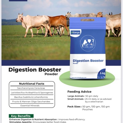 Premium Animal Digestive Powder