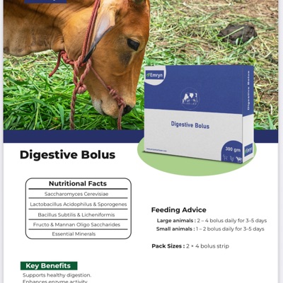 Animal Digestive Bolus - Capsule Packet 18 Months Shelf Life | Digestive Support Gut Friendly Probiotic Enzyme Rich Feed Supplement