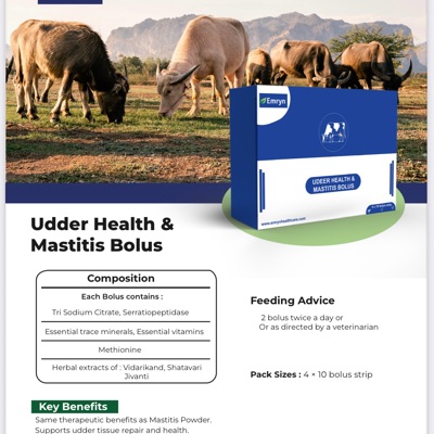 Udder Health And Mastitis Bolus Feeding Supplement