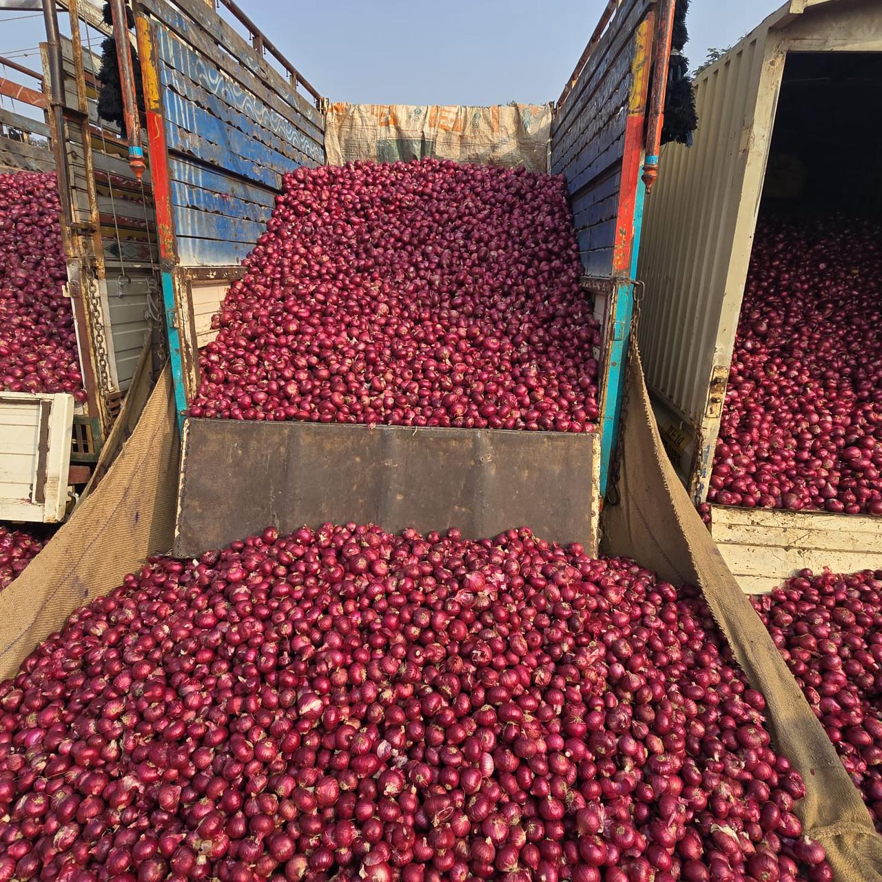 Red Onions - Deep Red, Round, 60-65% Moisture | Fresh Quality, Strong Aroma, Pungent Taste, Firm Texture, Long Shelf Life