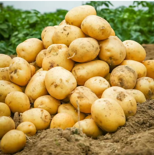 New Potatoes with Sweet