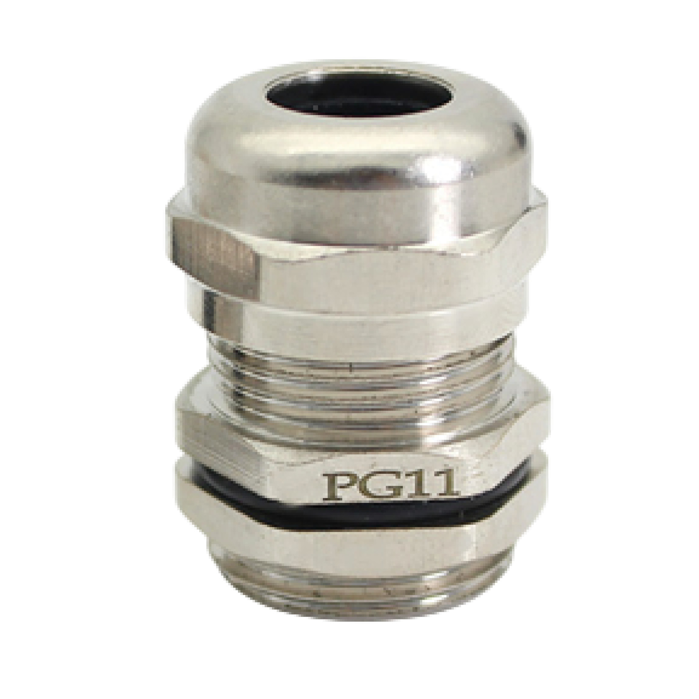 Cable Gland