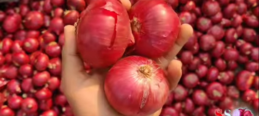 Red Onion