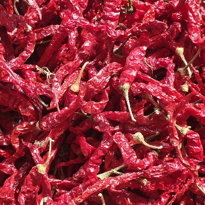 Byadgi Chilli
