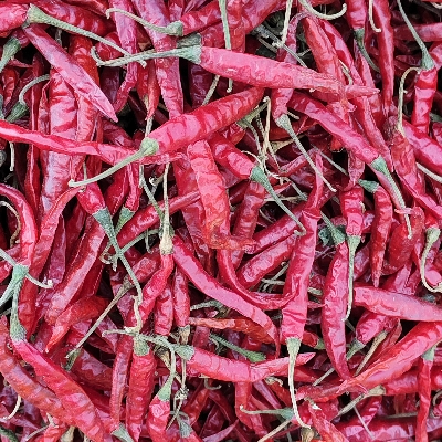 Teja Red Chilli
