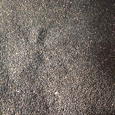 Natural Sesame Seeds