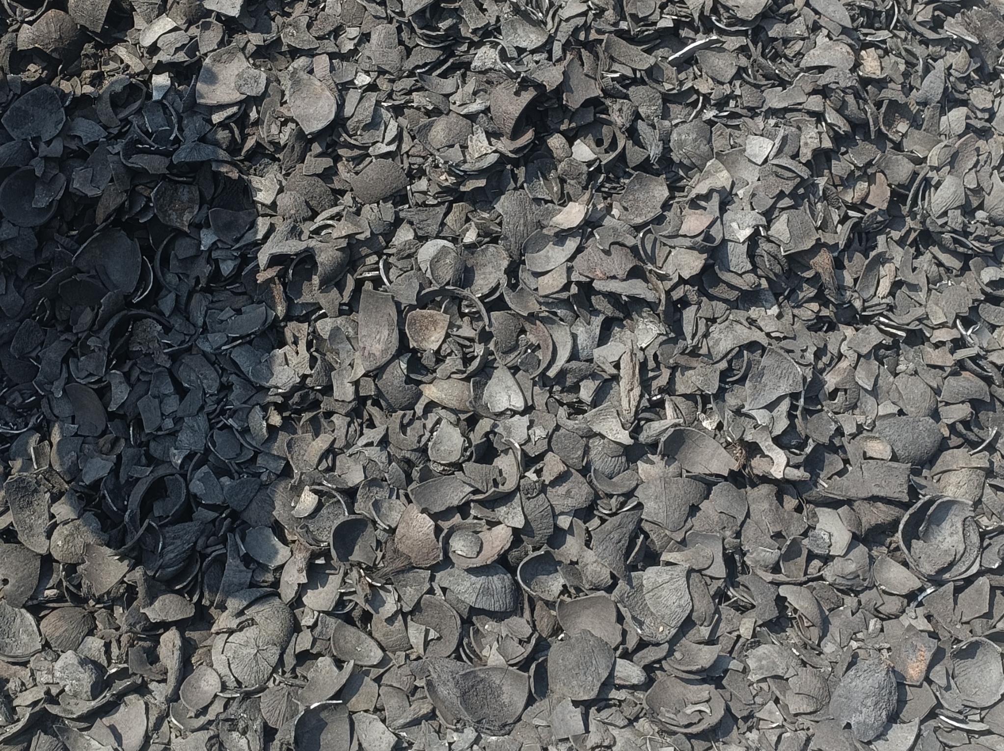 COCONUT SHELL CARBON