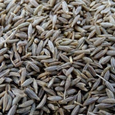 Cumin Seed - Flavor: Strong