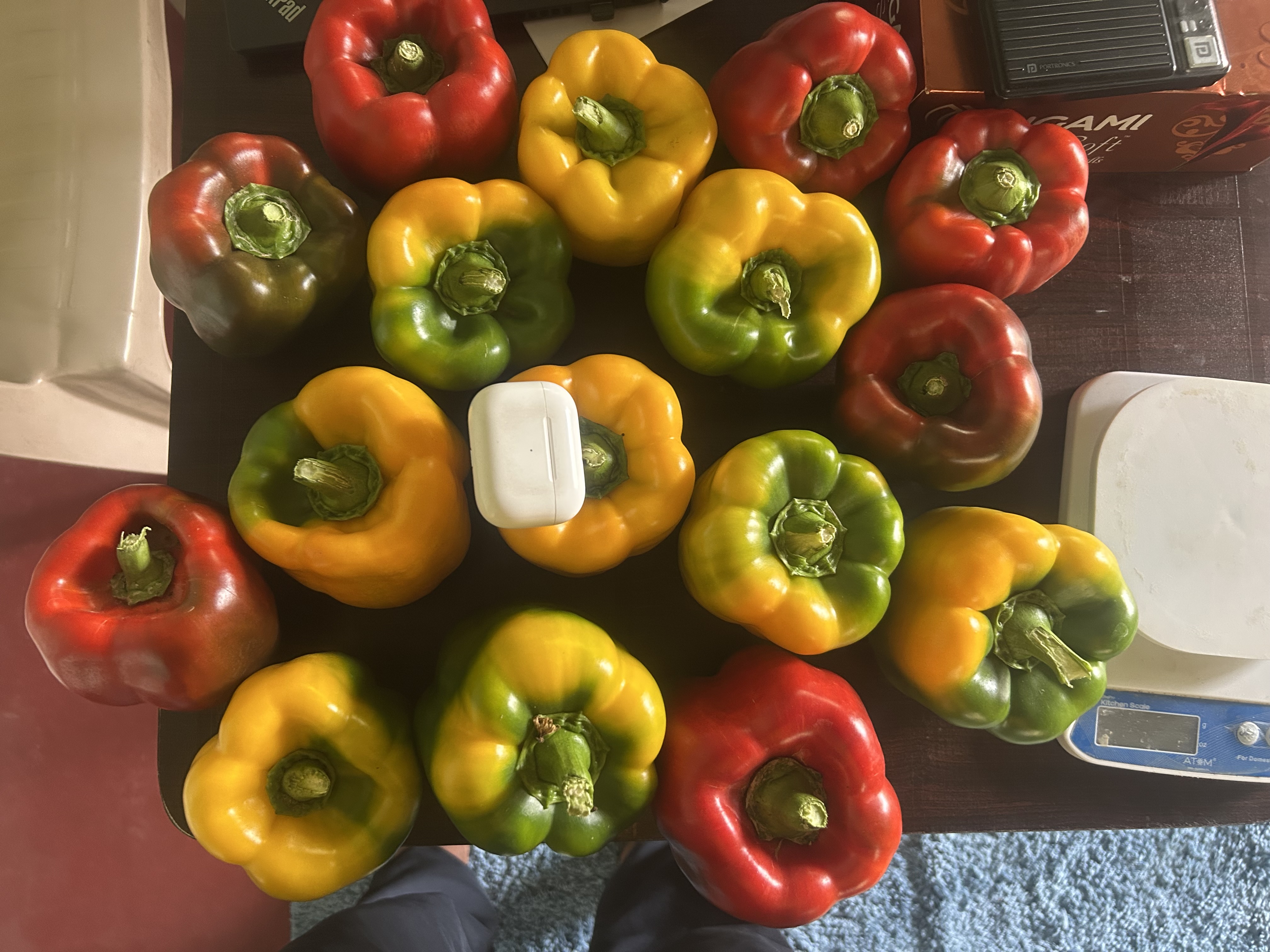 Bell peppers/ Capsicum