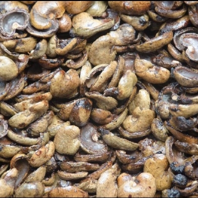 Cashew Nut Shell