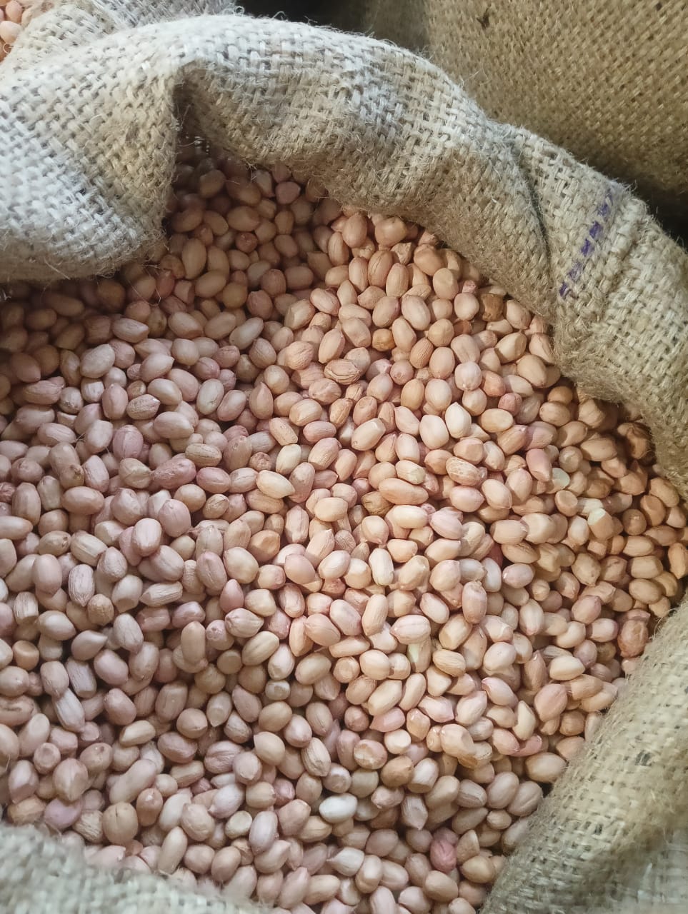 Java Peanuts