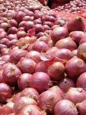 Red Onion