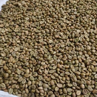 Green Coffee Arabica