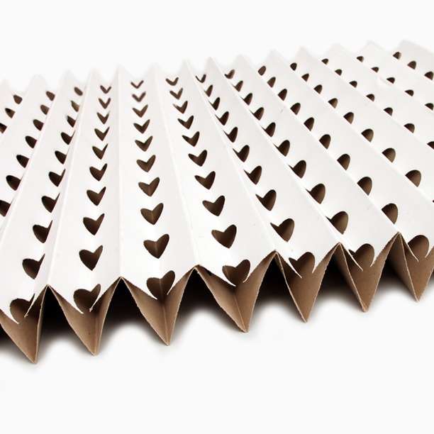 Pleated Paper Filter