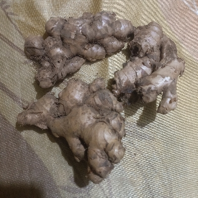 Fresh Organic Ginger