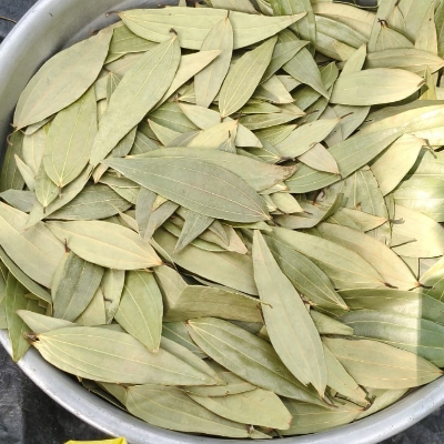 Bay Leaf Highest Quality