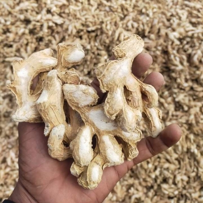 Ginger Dry High Quality