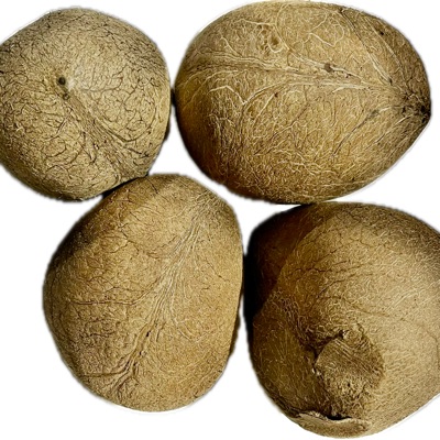 Dried Copra - Color: Brown
