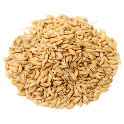 Raw Paddy
