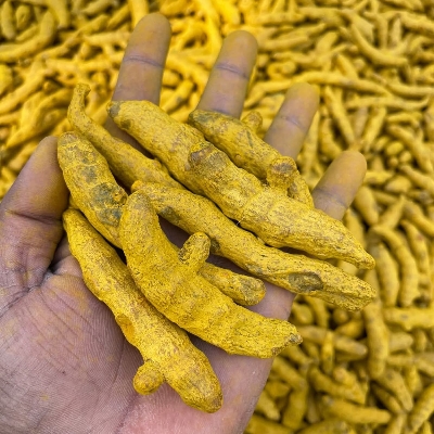 Premium Turmeric