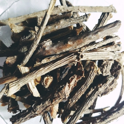 Giloy Stem