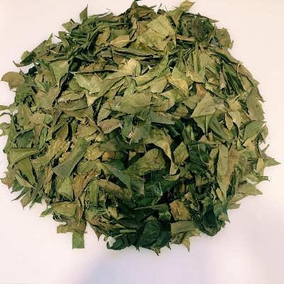 Moringa Leaves