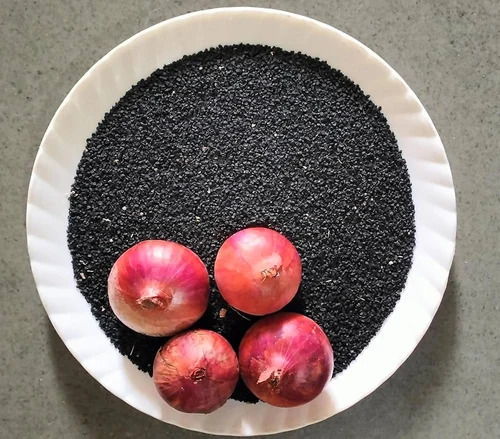 Red Onion seeds