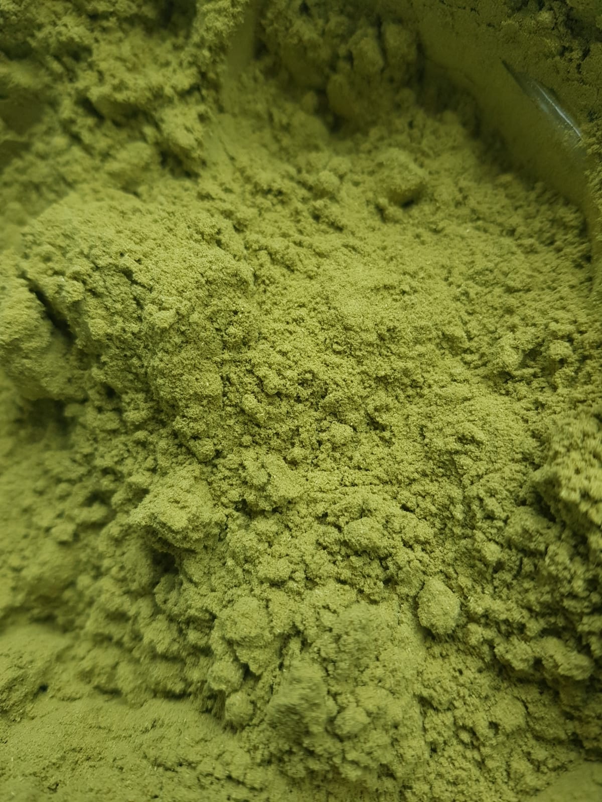 Moringa Powder