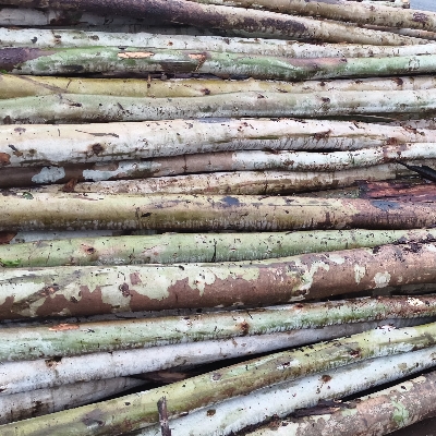 Fire Wood