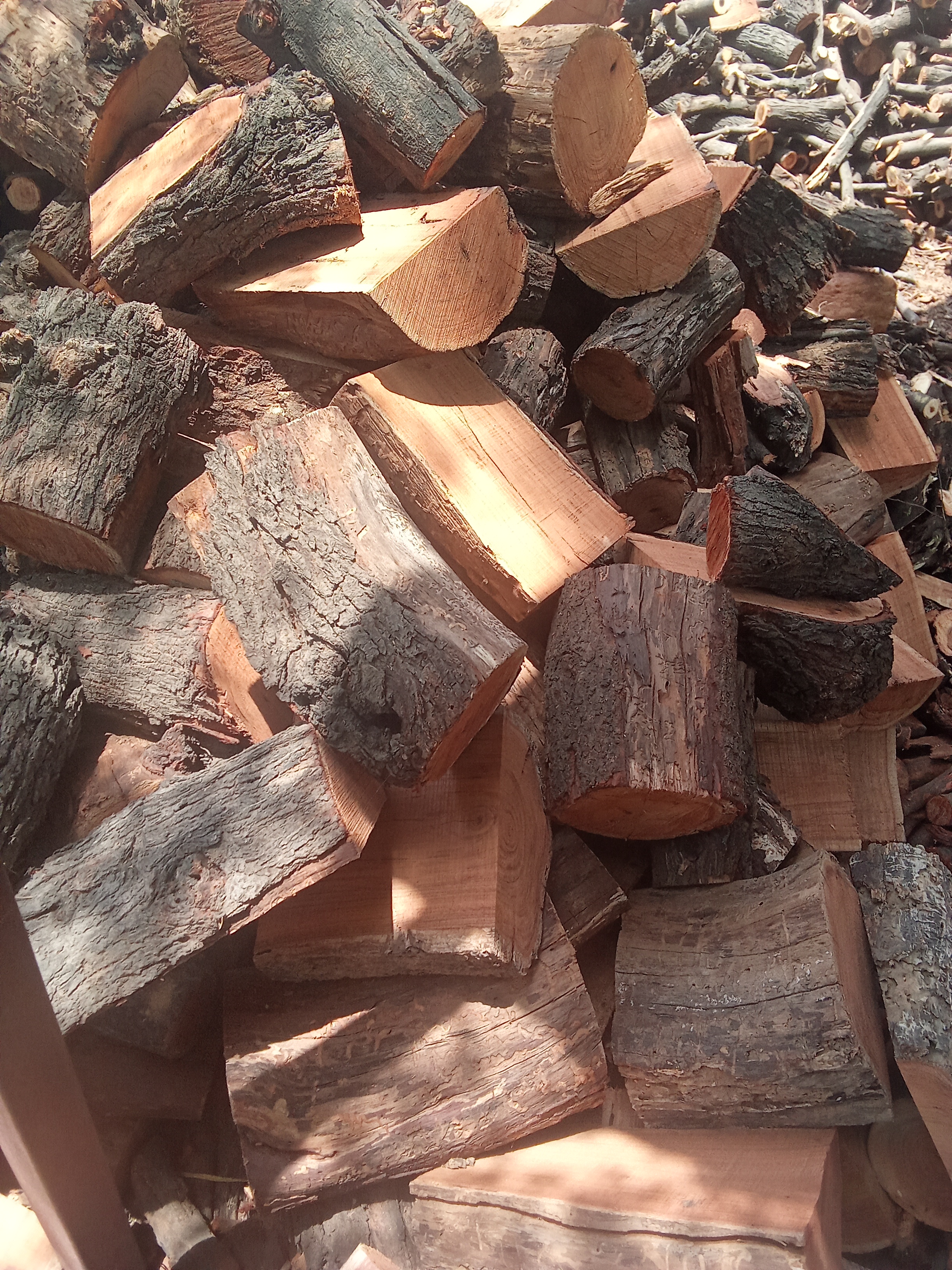 Kikkar Boiler Firewoods