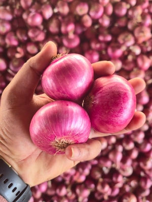 Super Onion