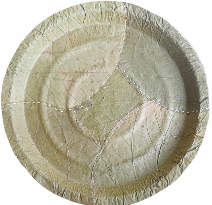 Sal Leaf Disposable Plate
