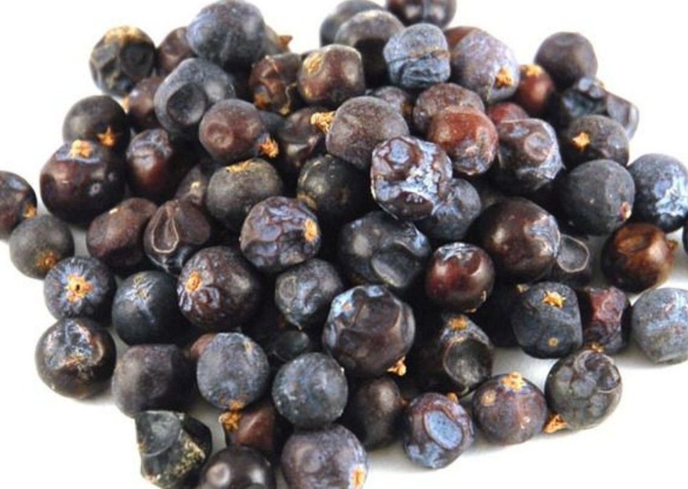 Sugandh Kokila Essential Oil