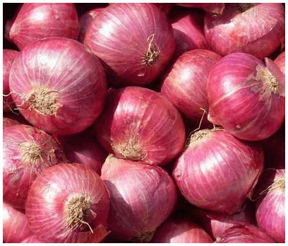 Red Onions By Nirja