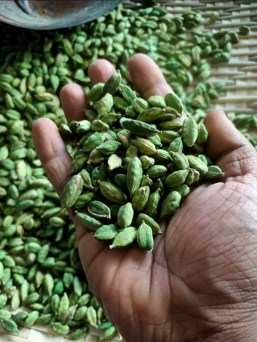 Green Cardamom