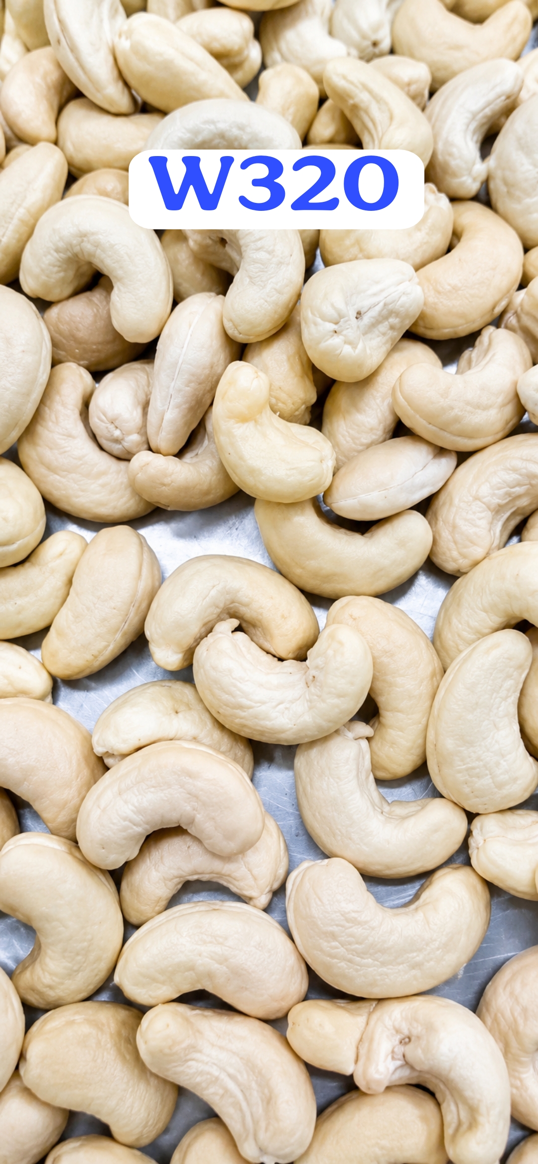 W320 Cashew Nut