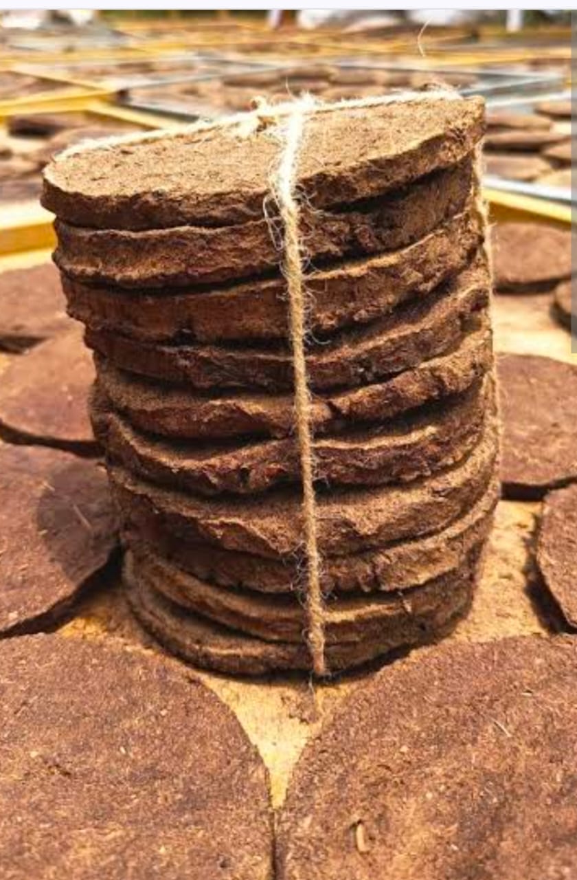Cow Dunk Cake