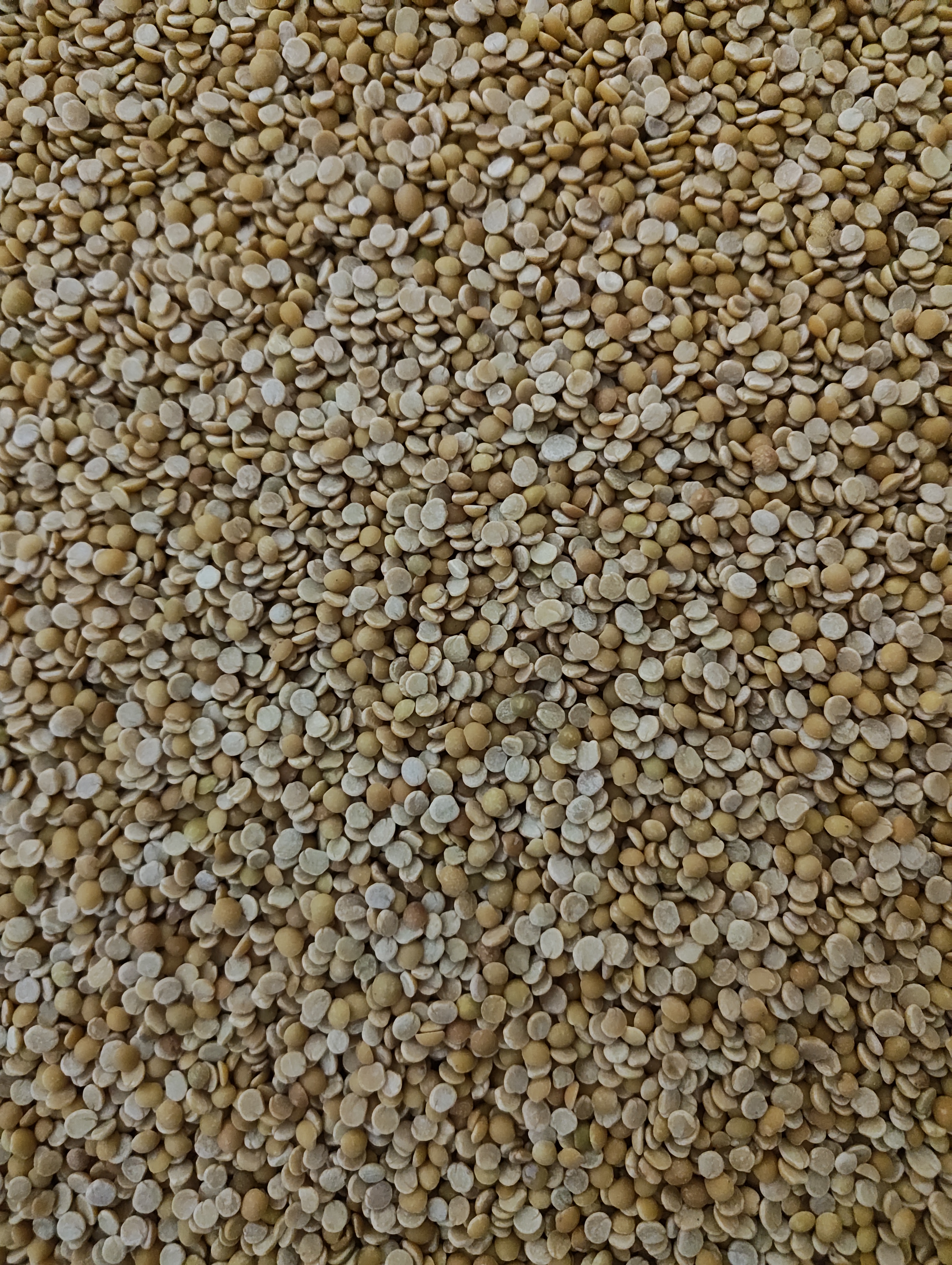 Toor Dal Phatka