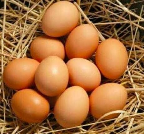 Sonali Chicks Eggs