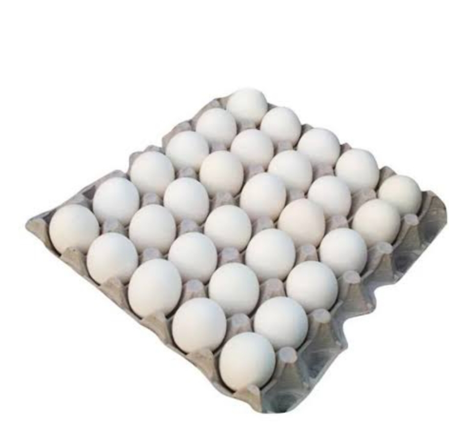 Fresh Eggs