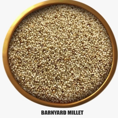 Barnyard Millet