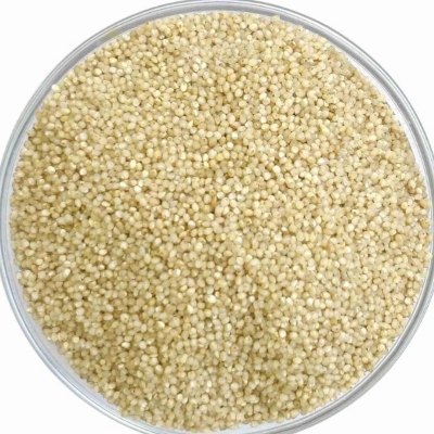 Little Millet
